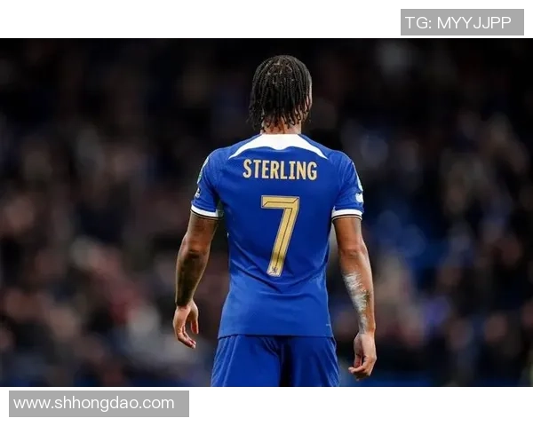 德转本赛季英超0进场球员身价：迪萨西、马拉西亚、斯特林在列